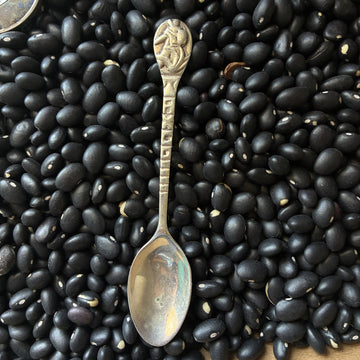 Souvenir Spoon