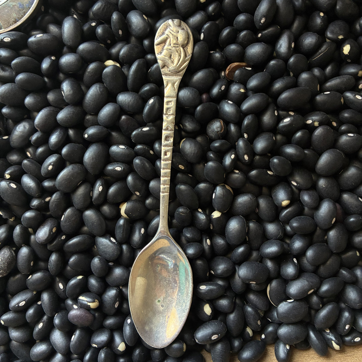 Souvenir Spoon
